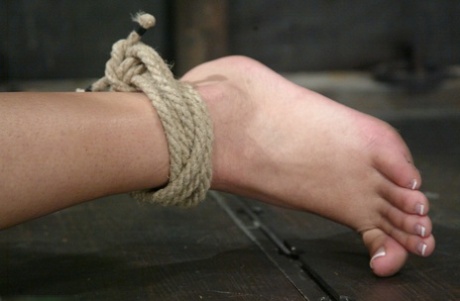 Hogtied starring Tia Tanaka Naked Images
